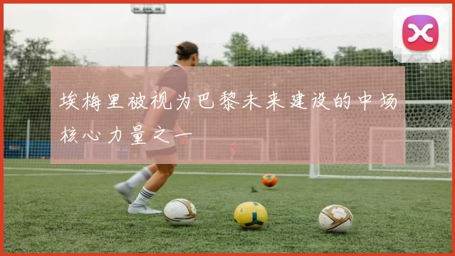 埃梅里被视为巴黎未来建设的中场核心力量之一