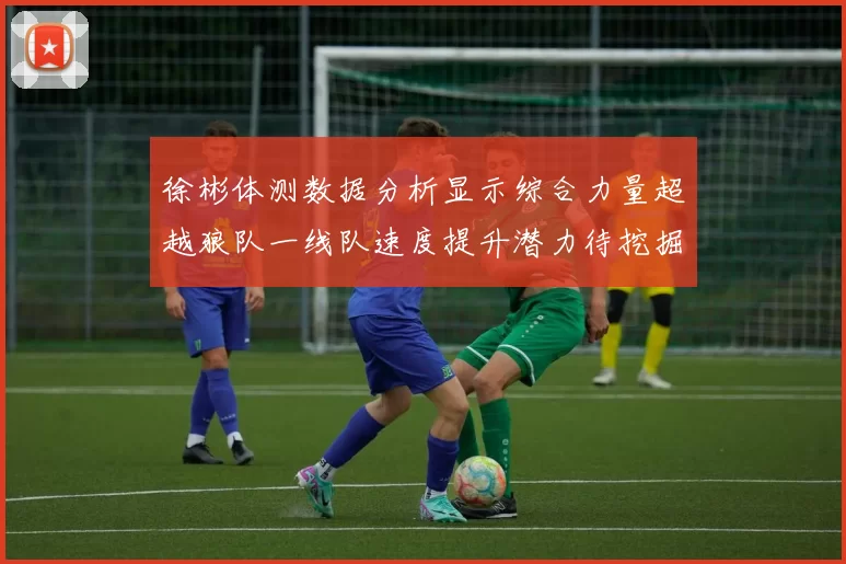 徐彬体测数据分析显示综合力量超越狼队一线队速度提升潜力待挖掘